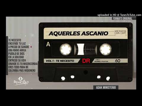 01 TE NECESITO