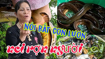 Ông lão râu bạc, cô nói ăn đầu con lươn nghe rợn người, 