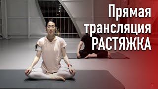 Растяжка перед сном