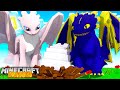 SECRET NightFury FAMILY - Dragons Roleplay