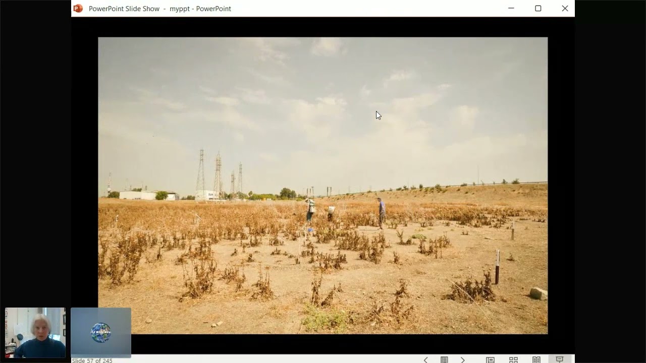 S3E1 Barbara Webb - Central place foraging: how insects anchor spatial information