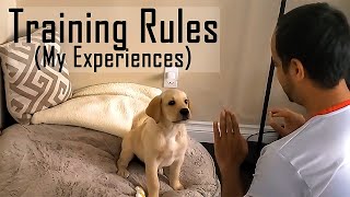 Puppy/Dog Training Basic Rules (Watch this first before Training) | Puppy Training 101