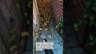 Leaf Blower Magic: Quick Fall Clean-Up Tips & Tricks!"