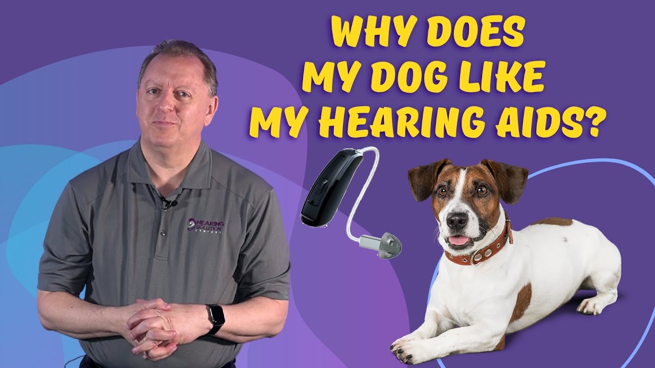 Hearing Aid Maintenance Hearing Aid Insurance for Loss or Damage
