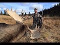 GRIZZLY BEAR AND YUKON MOOSE HUNTING! | L2H S08E07 "A pocketful of tags Pt. II"