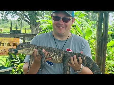 Alligator Alley -Summerdale, AL / Gulf Shores