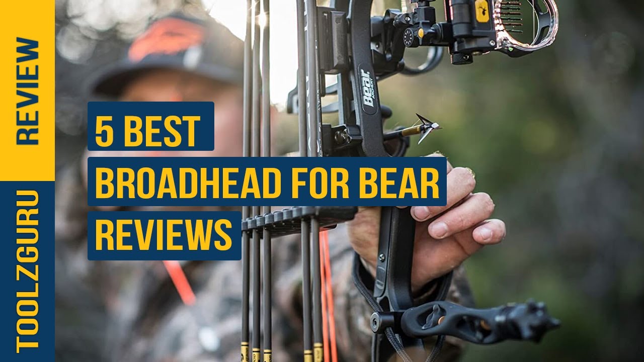 best Broadhead for Bear in 2024