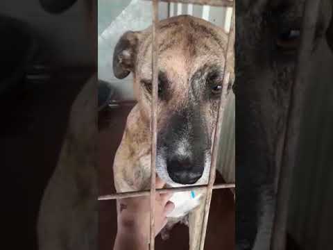 ‫דיכאון‬‎ - YouTube