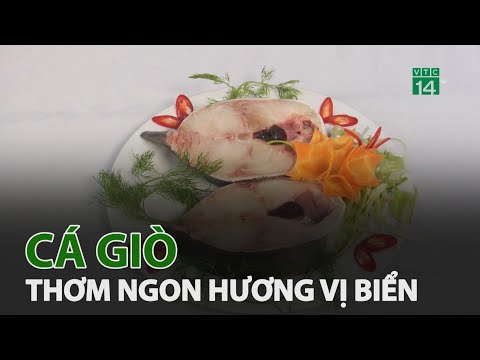 Cá giò - Thơm ngon hương vị biển miền Trung | VTC14