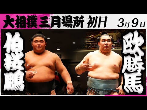 大相撲 伯桜鵬ー欧勝馬＜令和7年三月場所・初日＞SUMO - YouTube