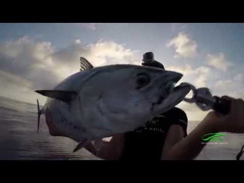 Fishing with Pelagus 90-S - YouTube