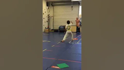 Matthew Sumida Karate for All