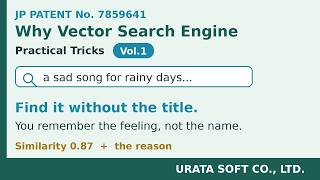 Patent No. 7859641 Why Vector Search Engine Vol.1 screenshot 3