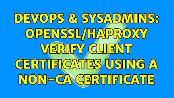 DevOps & SysAdmins: OpenSSL/HAProxy verify client certificates using a non-CA certificate
