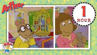 Arthur D W Visit The Pet Shop MORE Full Episodes ARTHUR