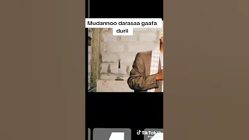 Shek Amin Ibroo Mudannoo Gafa Darasa 