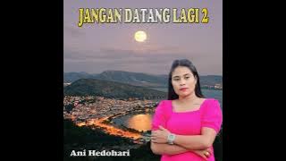 any hedohari jangan datang lagi 2 Full hd Audio