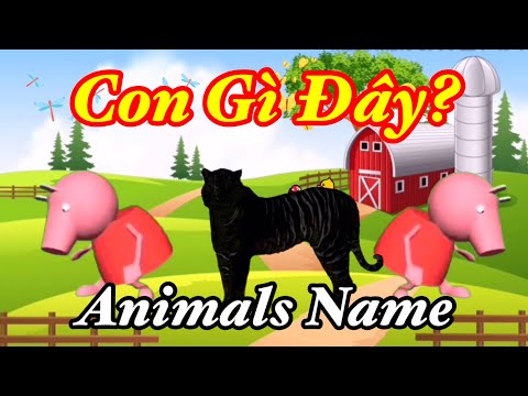 Video Con gì đây | Animals name - youtube