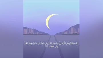 || سوره النجم || القارئ محمد هشام