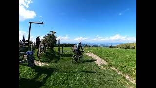 Rigi - Staffel Trail - Alp Holderen - Polen Trail 5