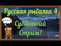 Русская Рыбалка 4 *🚨Субботний стрим!🚨 + 😝ПОМОГАЕМ НОВИЧКАМ!😝*