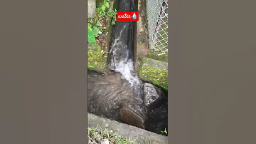 Earth Nature Water Music 2025 