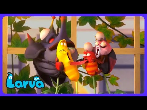 Larva - Magic Farting Beans! 💨 | Kids Cartoons | WildBrain Thrill Park
