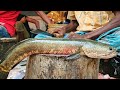 Amazing Big Snake Head Fish Cutting Live In Bangladesh | Sola Fish Cutting Skills