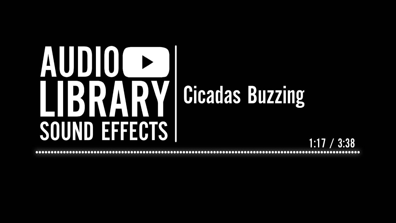Cicadas Buzzing - Sound Effect