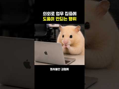 학쒸고대 thumbnail
