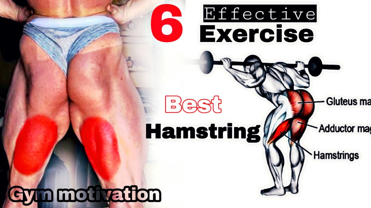 6 Best Hamstrings Exercise - The perfect Hamstring workout - Gym ...