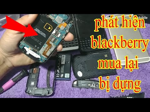 Video: Trái Blackberry chưa chín: Những lý do khiến Blackberry không chuyển sang màu đen