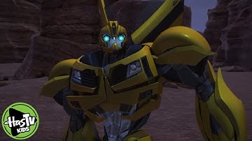 Bumblebee isn