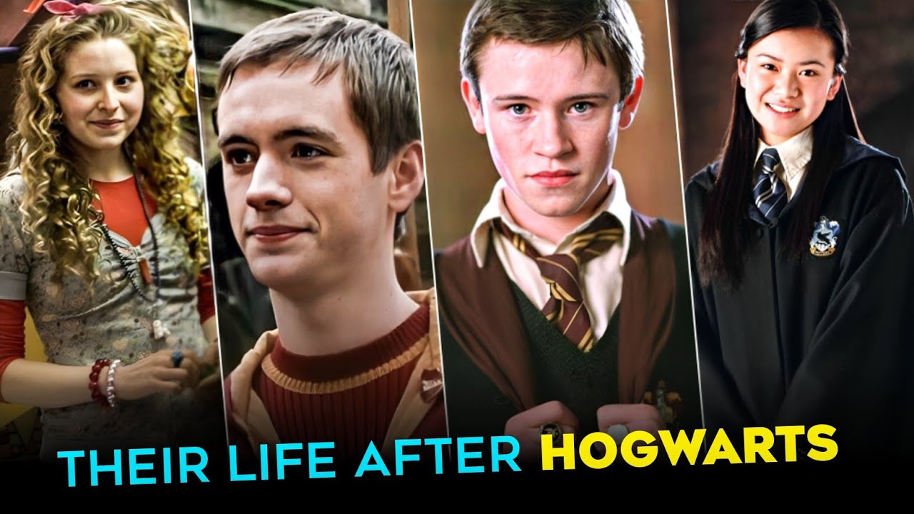 What Happened to Harry Potter Characters After Hogwarts? | harry Potter explained