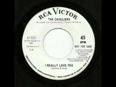The Cavaliers - I Really Love You
