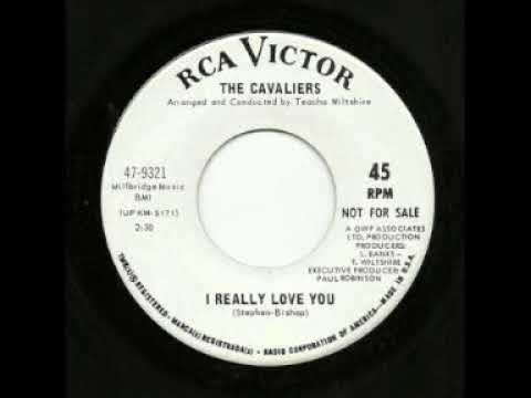 The Cavaliers  - I Really Love You