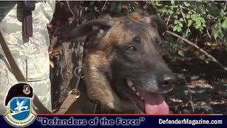 366th SFS MWD's Protect the Pope
