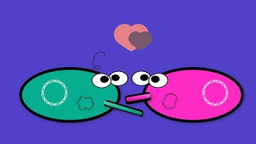 genetic recombination strategies of bacteria CONJUGATION, TRANSDUCTION AND TRANSFORMATION