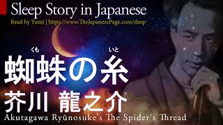 Japanese Sleep Story: 蜘蛛の糸 The Spider's Thread by Akutagawa