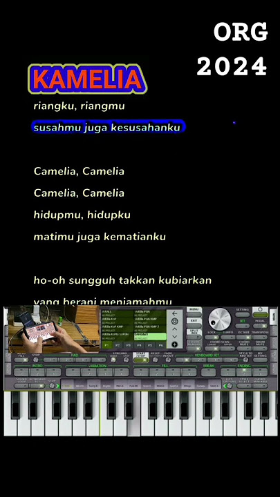 kamelia - set dangdut manual org 2024#shorts