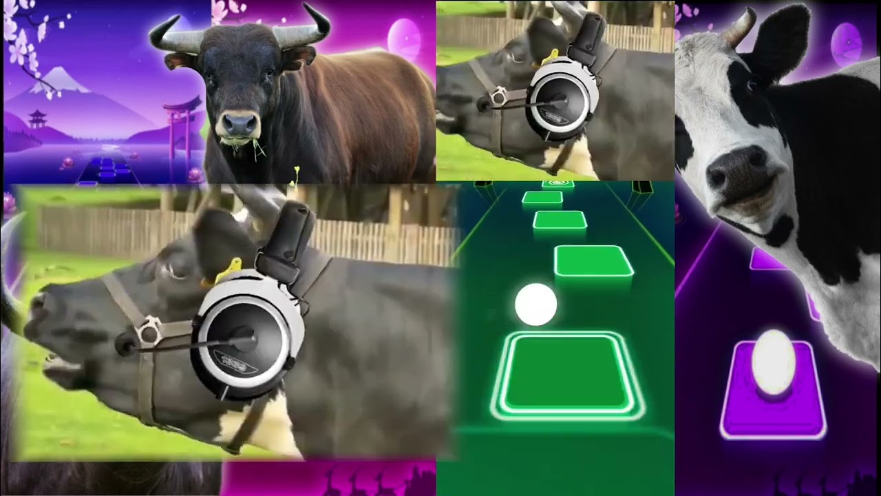 Funny Cows VS Funny Buffalo VS Funny Buls Tiles Hop EDM Rush