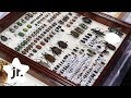 Insect Collection Organization Basics for Kids (Ep 5)