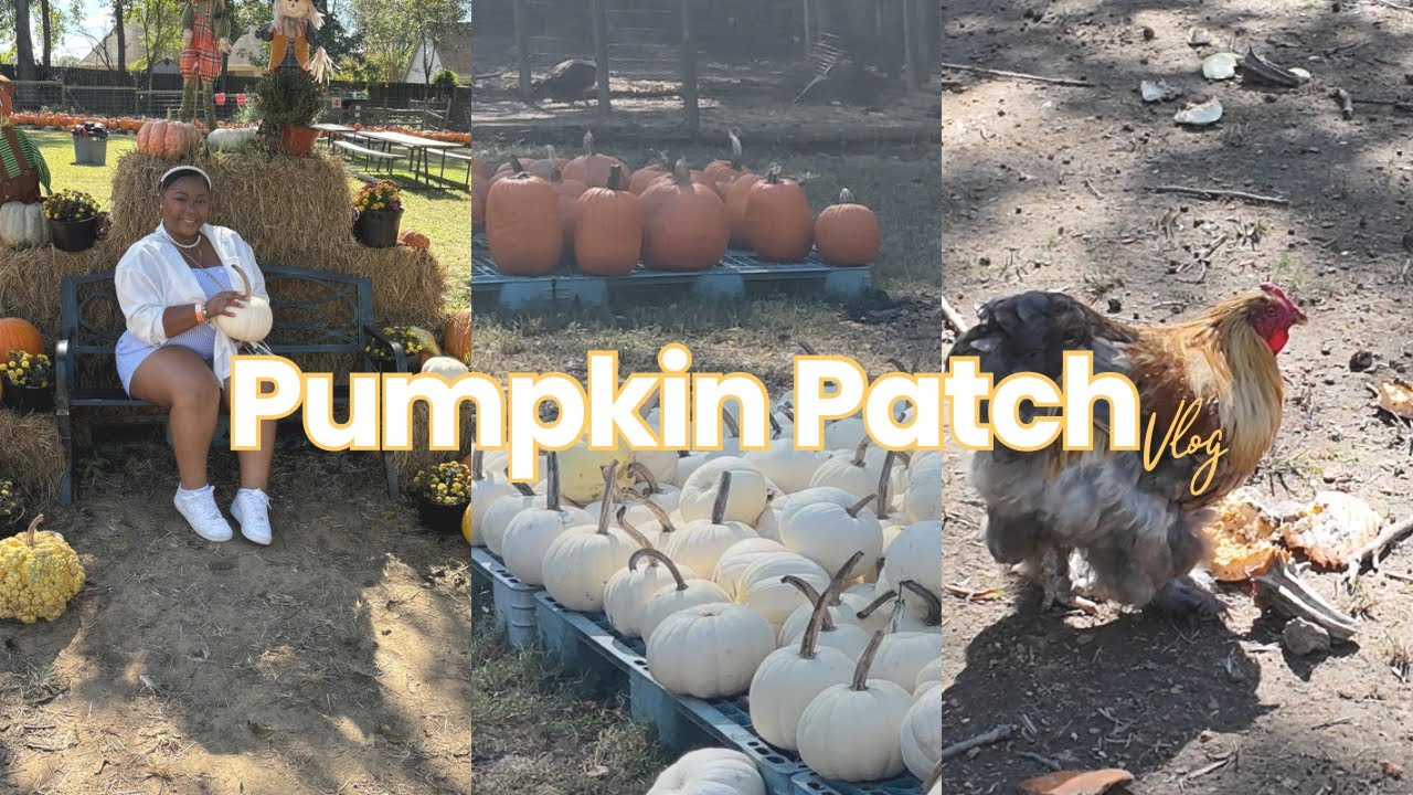 PUMPKIN PATCH DATE VLOG | PETTING FARM, PUMPKIN PATCH, SCARY MAZE, SNOW CONES +MORE