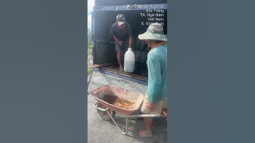 Đầy đủ các loại cá giống nước ngọt. 0909770509 #cá_giống #trại_cá_giống_út_me #traicagiongdongthap