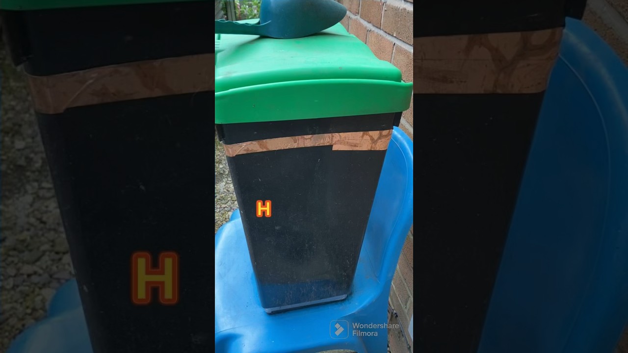 My secret garden quest 351 