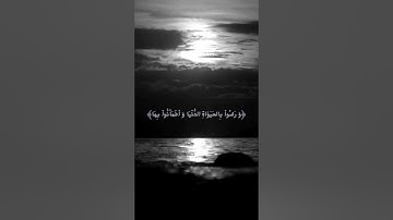 تلاوة خاشعة للشيخ عبد الباسط عبد الصمد       #قرآن #عبدالباسط_عبدالصمد #القرآن_الكريم #تلاوة_خاشعة