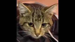 El Uzat Hayata Dokun Kalplere