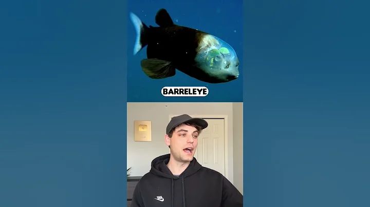 Strange Deep Sea Creatures #shorts