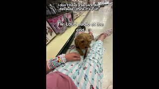 #servicedog #disabled #invisibledisability 