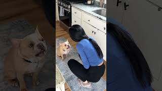 ROASTED CARROT SALAD WITH PISTACHIO-PARMESAN CRUNCH &amp; TANGY LEMON-HONEY DRESSING!